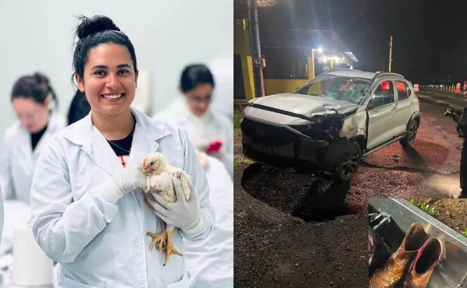 Estudante de medicina veterinária morre atropelada na BR-369, em Ubiratã